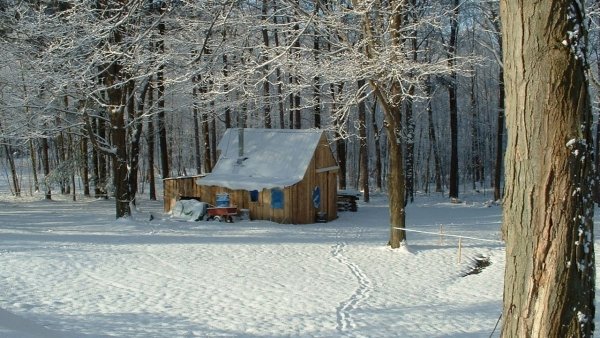 Rénszarvas mentőakció (2004)  Képek  Mafab.hu